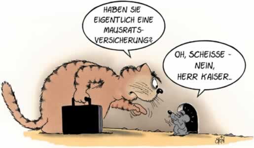 Haben sie schon eine Mausratsversicherung?