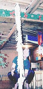 palme6